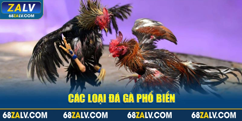 Các loại đá gà phổ biến